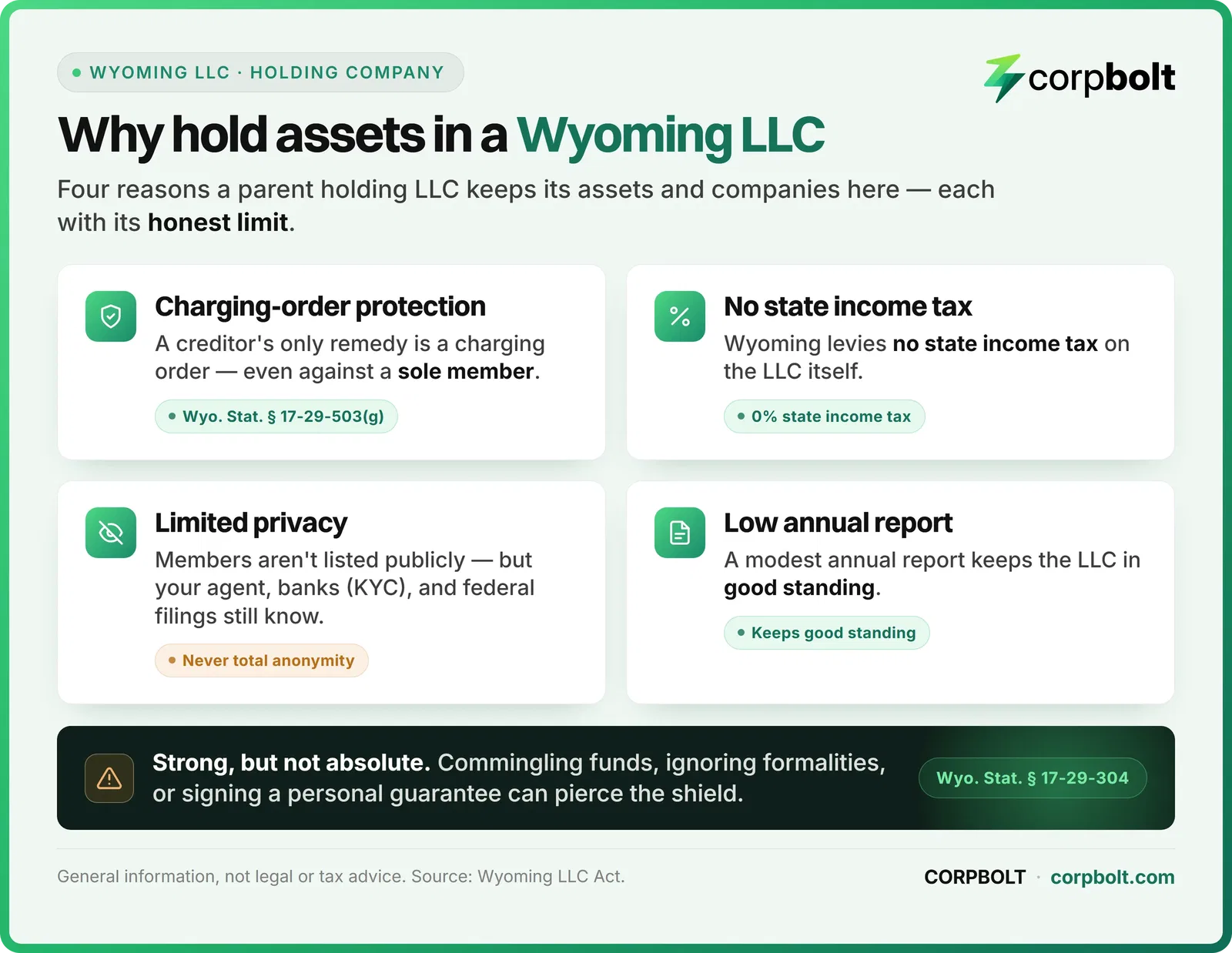 Infographic of four reasons to hold assets in a Wyoming LLC, including charging order protection and no state income tax