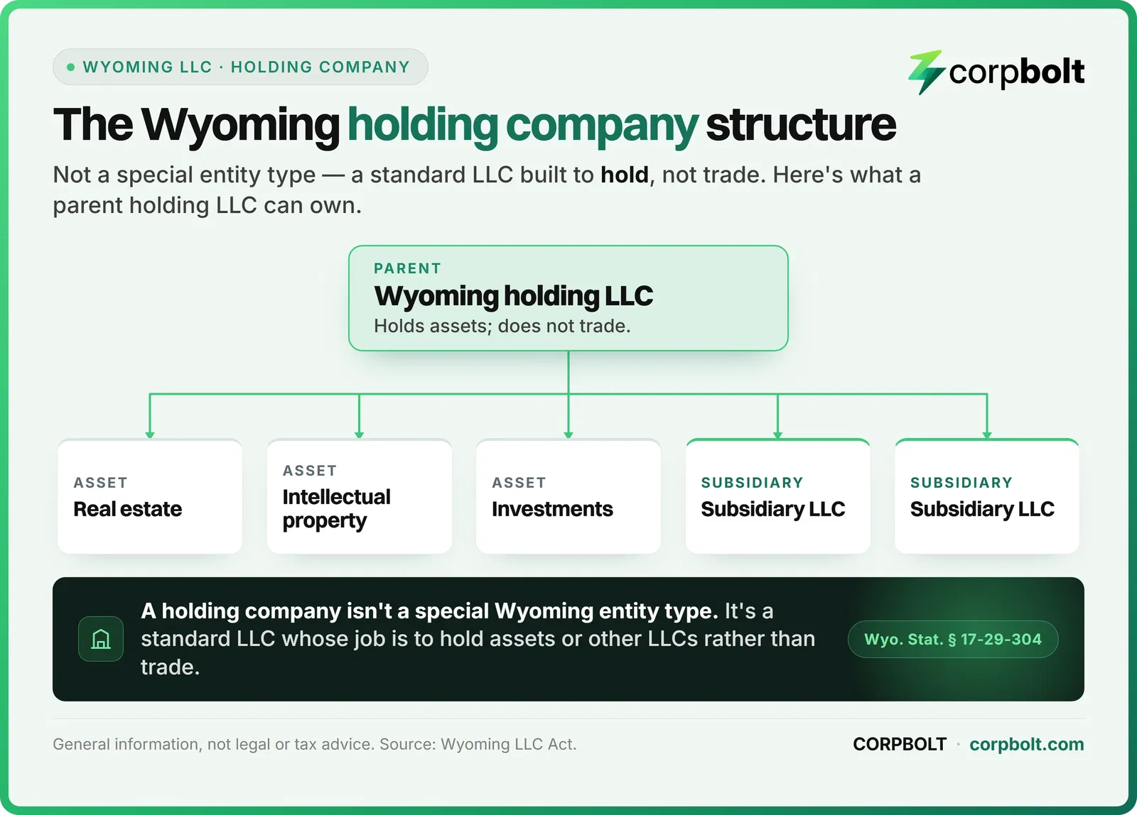 Org chart of a Wyoming holding LLC as parent owning real estate, intellectual property, investments, and subsidiary LLCs